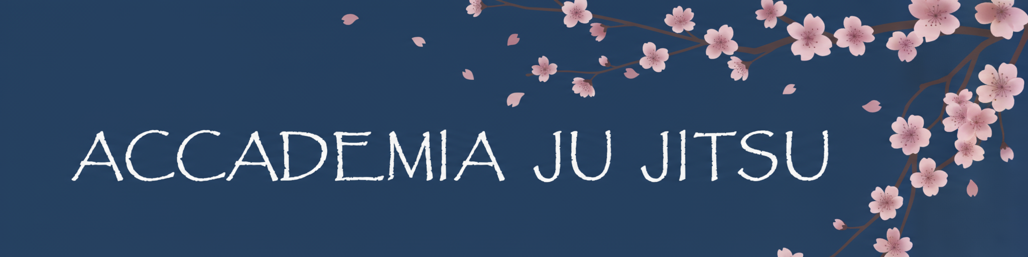 Accademia Jujitsu